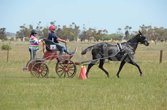 K210_1756.JPG - Photo by KANGRA