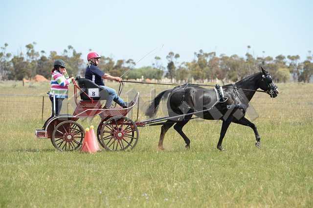 K210_1759.JPG - Photo by KANGRA