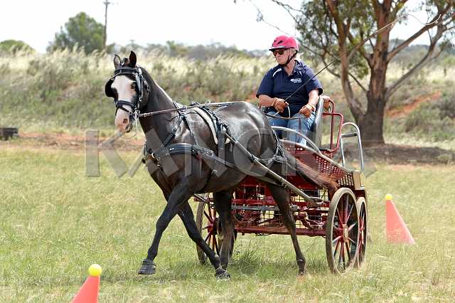 K210_1763.JPG - Photo by KANGRA