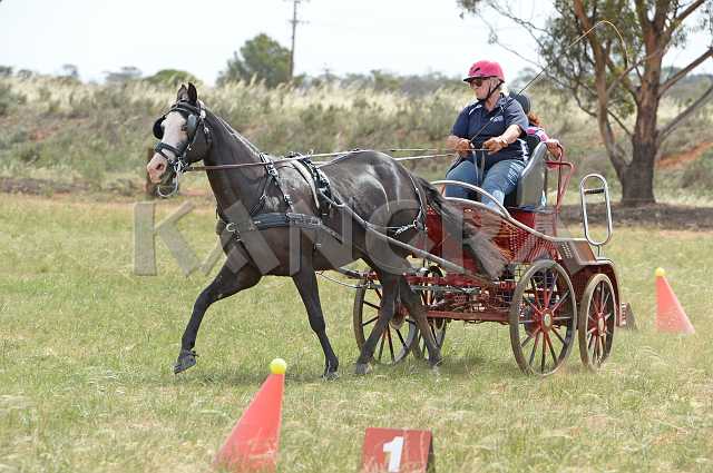 K210_1766.JPG - Photo by KANGRA