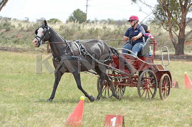 K210_1767.JPG - Photo by KANGRA