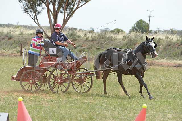 K210_1768.JPG - Photo by KANGRA