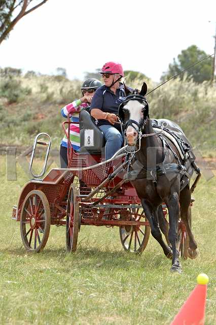 K210_1778.JPG - Photo by KANGRA