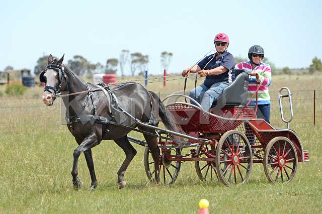 K210_1781.JPG - Photo by KANGRA