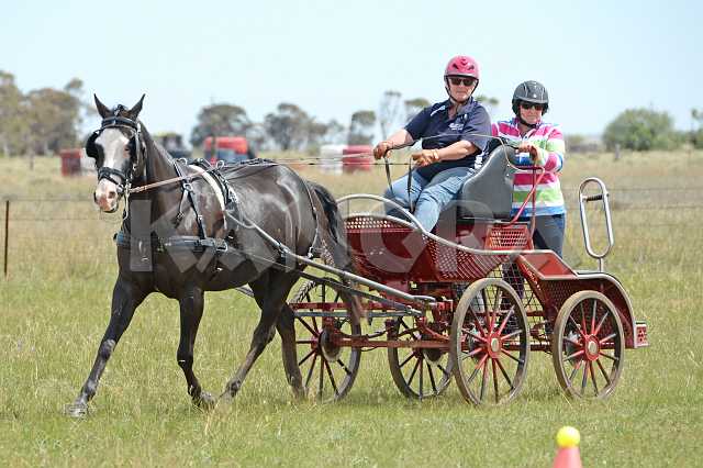 K210_1785.JPG - Photo by KANGRA