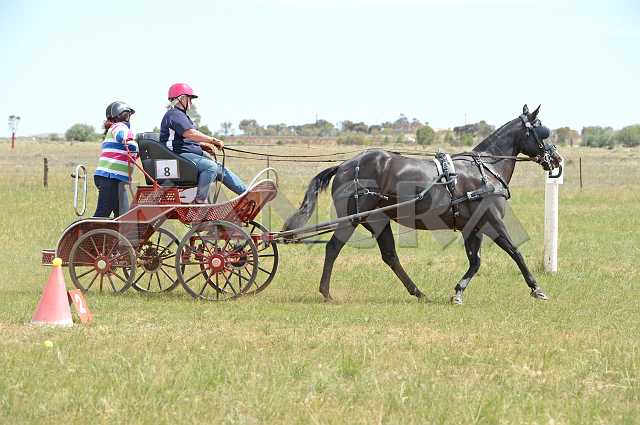 K210_1793.JPG - Photo by KANGRA