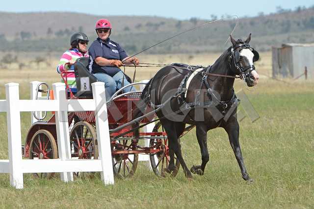 K210_1799.JPG - Photo by KANGRA