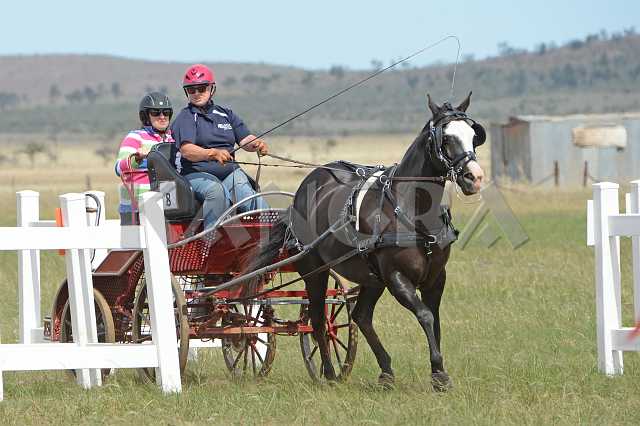 K210_1801.JPG - Photo by KANGRA