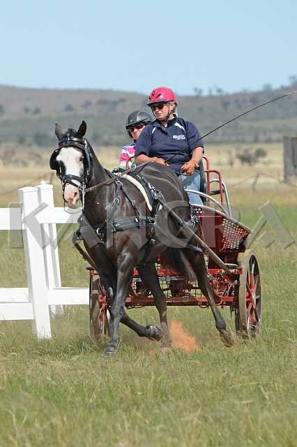 K210_1803.JPG - Photo by KANGRA