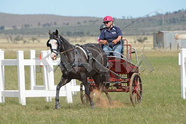 K210_1805.JPG - Photo by KANGRA