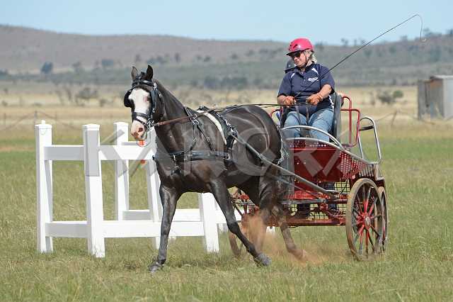 K210_1806.JPG - Photo by KANGRA