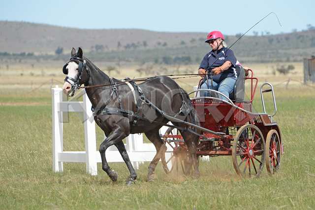 K210_1808.JPG - Photo by KANGRA