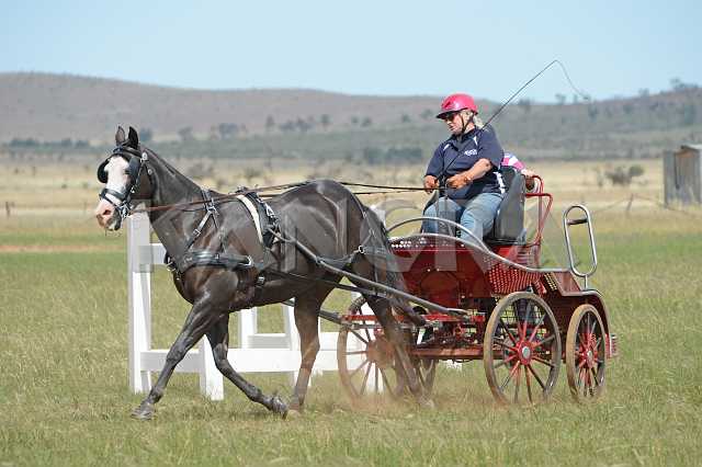 K210_1809.JPG - Photo by KANGRA