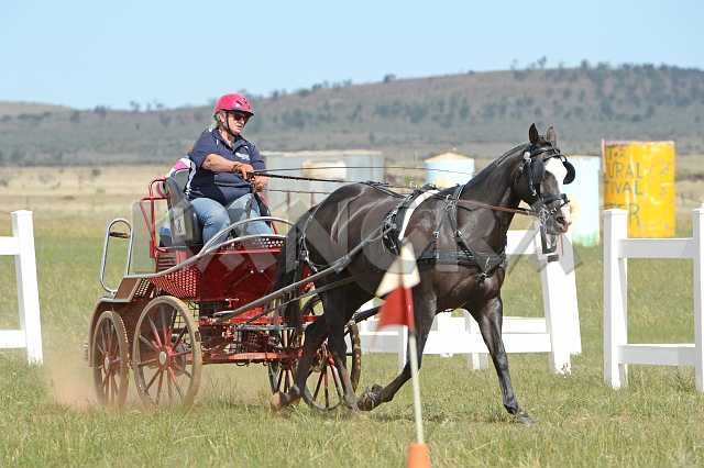 K210_1820.JPG - Photo by KANGRA