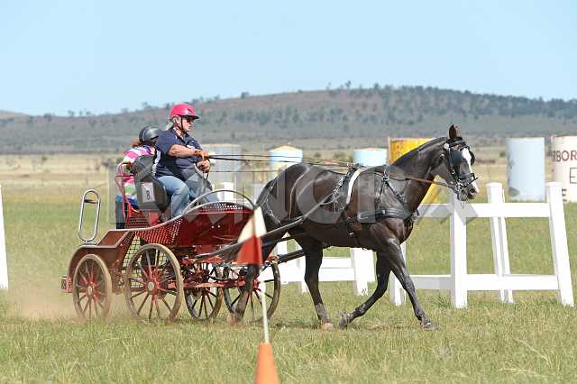 K210_1823.JPG - Photo by KANGRA