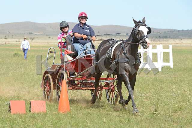 K210_1835.JPG - Photo by KANGRA