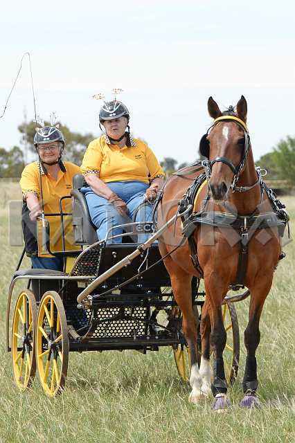 K210_1292.JPG - Photo by KANGRA