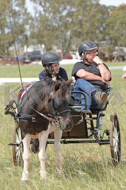 K210_1795.JPG - Photo by KANGRA