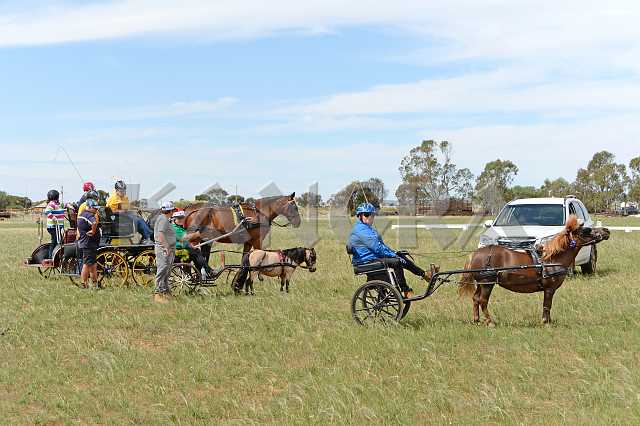 K210_1841.JPG - Photo by KANGRA