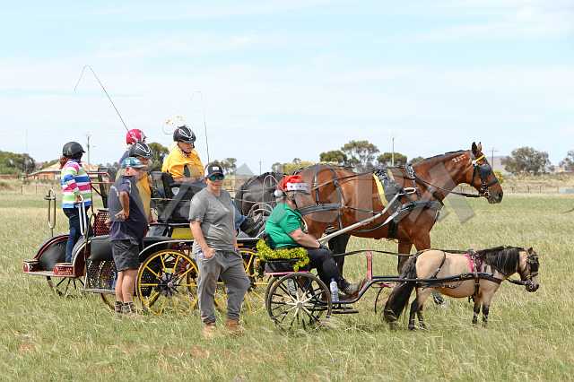 K210_1844.JPG - Photo by KANGRA