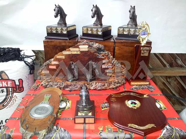 K185_1401.jpg - User comments