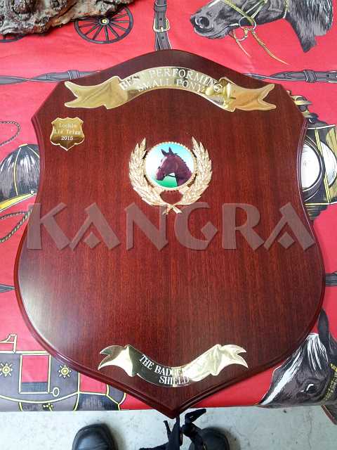 K185_1403.jpg - User comments