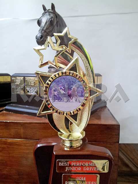 K185_1406.jpg - User comments