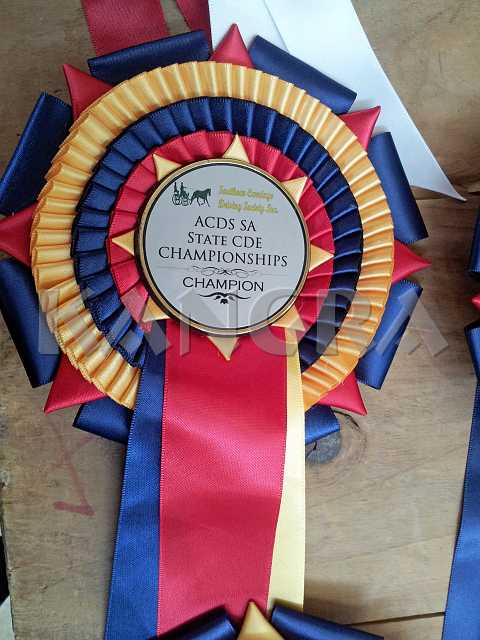 K185_1407.jpg - User comments